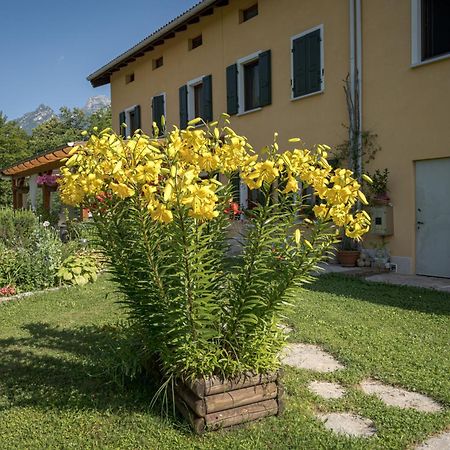 Casa Edith Libano Екстериор снимка